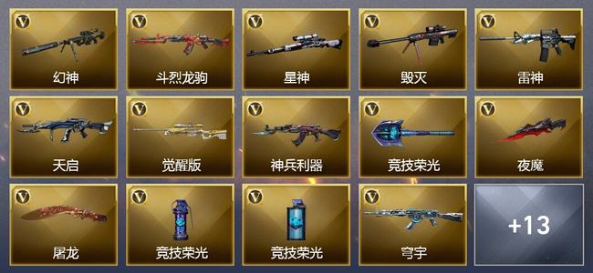 穿越火线（CF）23V武器 6皮肤 可排位 传奇
