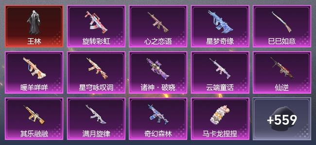 和平精英【苹果版】5载具 14升级枪 13粉装 7尾迹 299套装 135466热力 17印记