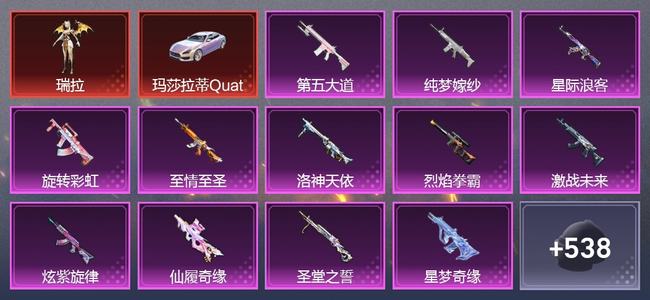 和平精英【苹果版】7载具 25升级枪 21粉装 12尾迹 294套装 158959热力 24印记