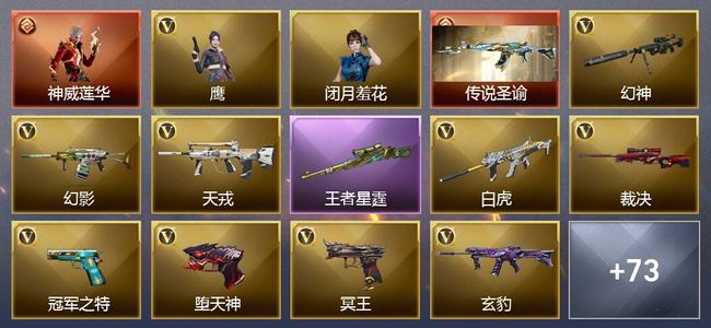 穿越火线（CF）1传说角色 1传说武器 5王者武器 2炫金武器 66V武器 5V角色 18皮肤 可排位 宗师