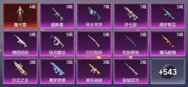 和平精英5载具 17升级枪 10粉装 12尾迹 334枪皮 196套装 11,1253热力 21印记