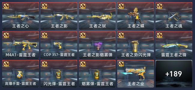 穿越火线：枪战王者17王者 193英雄武器 10英雄角色 6万化 专家S