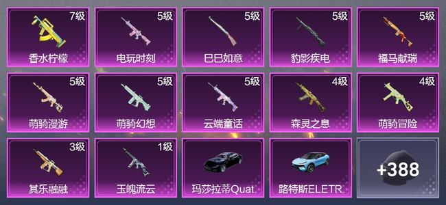 和平精英2载具 12升级枪 2粉装 4尾迹 230枪皮 175套装 6,8760热力 10印记 皇冠