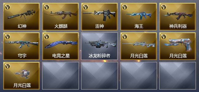 穿越火线（CF）10V武器 4皮肤 可排位 新锐