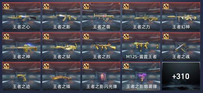 穿越火线：枪战王者V8 37王者 316英雄武器 10英雄角色 565万化 新锐