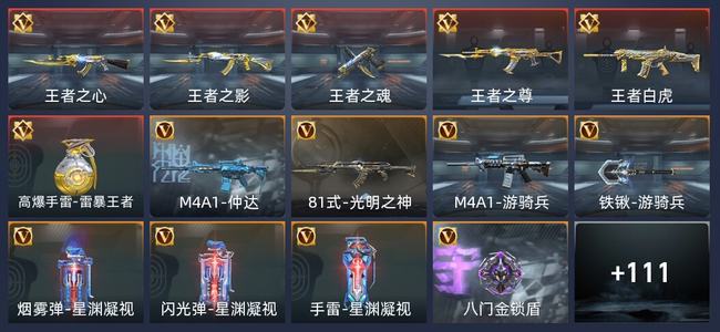 穿越火线：枪战王者V5 6王者 139英雄武器 142万化 精英