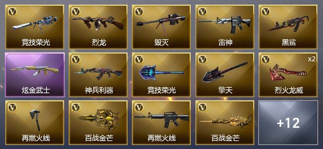穿越火线（CF）1炫金武器 17V武器 2V角色 5皮肤 可排位 专家