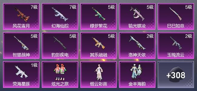 和平精英11升级枪 7粉装 1尾迹 194枪皮 137套装 6,2054热力 14印记 超级王牌