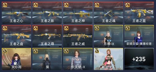 穿越火线：枪战王者V3 8王者 242英雄武器 7英雄角色 384万化 新锐