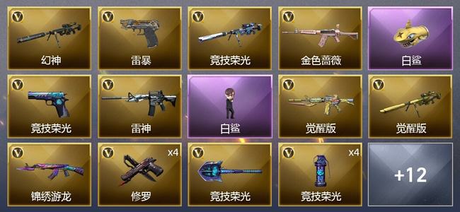 穿越火线（CF）31V武器 3V角色 5皮肤 可排位