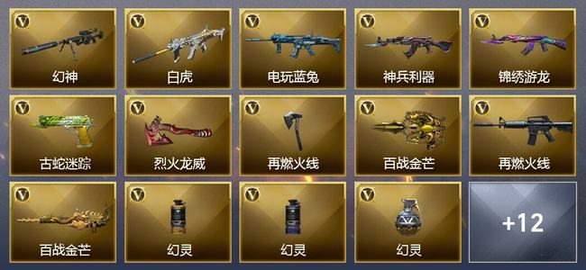 穿越火线（CF）19V武器 2V角色 5皮肤 可排位 传奇