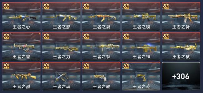 穿越火线：枪战王者V9 34王者 308英雄武器 12英雄角色 566万化 新锐