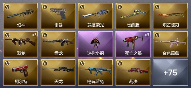 穿越火线（CF）1王者武器 3炫金武器 85V武器 3V角色 33皮肤 可排位 专家