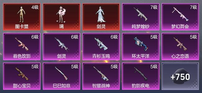 和平精英【苹果版】8载具 32升级枪 21粉装 14尾迹 429枪皮 298套装 15,6206热力 22印记 星钻