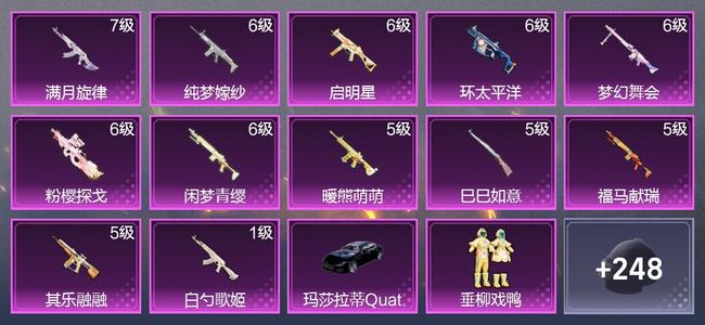和平精英【苹果版】1载具 12升级枪 7粉装 2尾迹 105套装 5,6137热力 20印记 超级王牌