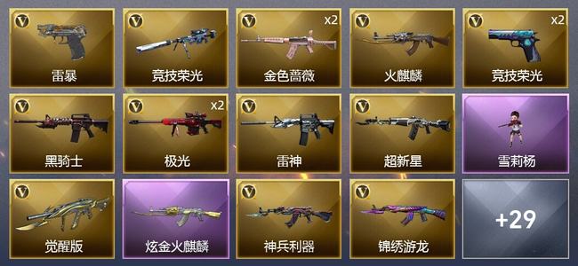 穿越火线（CF）1炫金武器 48V武器 3V角色 13皮肤 可排位 新锐