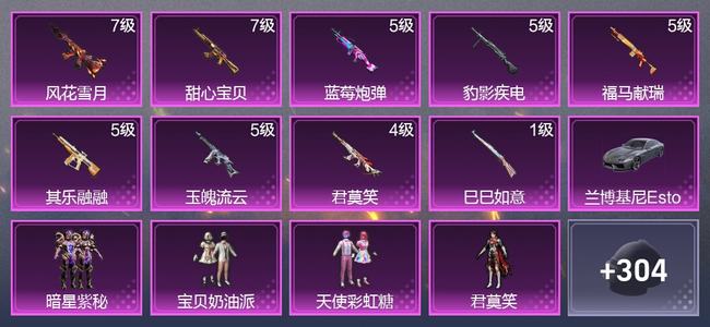 和平精英【苹果版】1载具 9升级枪 4粉装 133套装 6,2315热力 14印记
