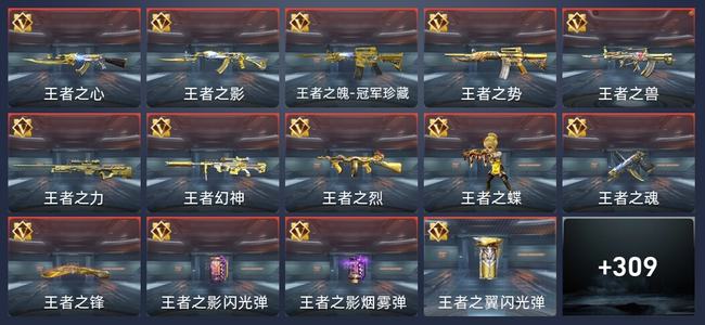 穿越火线：枪战王者V8 37王者 308英雄武器 15英雄角色 597万化 新锐