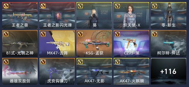 穿越火线：枪战王者V1 2王者 127英雄武器 3英雄角色 207万化 专家S