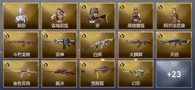穿越火线（CF）27V武器 3V角色 12皮肤 可排位 枪王