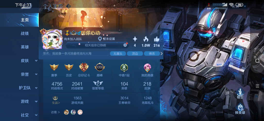 王者荣耀【104英雄218皮肤】218皮肤104英雄270铭文