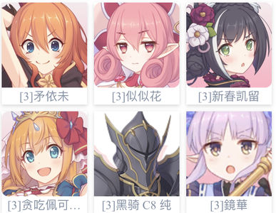 公主连接！Re:Dive 外服台2春黑511似似花（回归号）