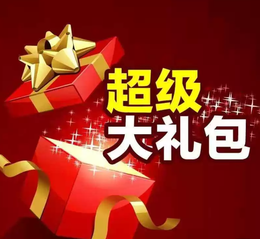 稀有载具绝版皮肤各种道具