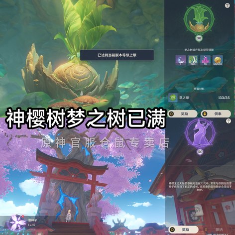 【45级】沙漠满肝3W5原石囤满命魈珐S6