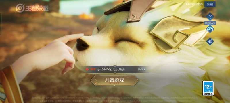 王者荣耀【担保】0场次 满级铭文 零排位 二次