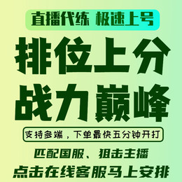 大师以上1对1教学