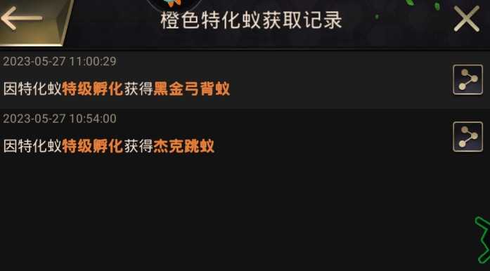 小小蚁国九游583区2橙黑金弓背蚁杰-