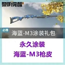 永久海蓝-M3涂装*1