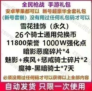 全民枪战全套26骑士兑换币千万强化点
