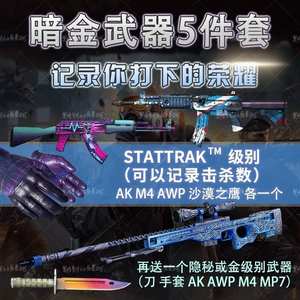 CSGO皮肤暗金武器5件套