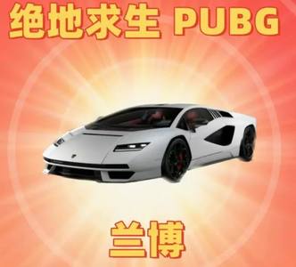 绝地求生（PUBG）兰博基尼⭐成长武器皮肤