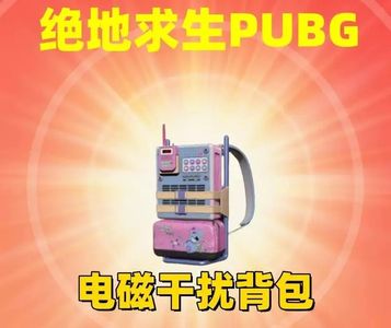 绝地求生（PUBG）【担保】-电磁干扰背包⭐成长武器皮肤