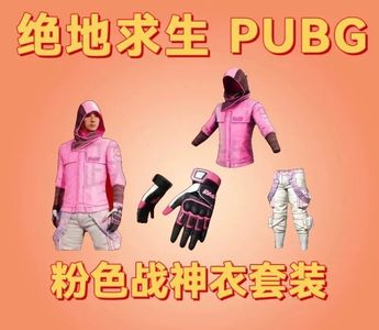 绝地求生（PUBG）粉色战神衣⭐成长满级武器皮肤