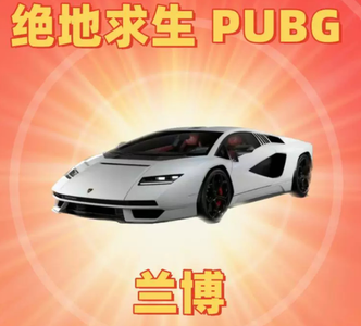 绝地求生（PUBG）【担保】-兰博基尼⭐成长武器皮肤