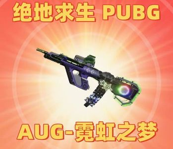 绝地求生（PUBG）【担保】-霓虹之梦aug⭐成长武器皮肤