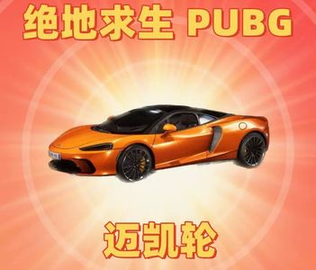 绝地求生（PUBG）迈凯伦⭐成长武器皮肤
