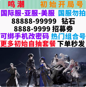 鸣潮（外服）亚美服6万星声赞守岸人椿