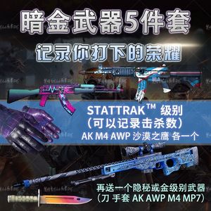 CSGO【担保】皮肤暗金武器5件套