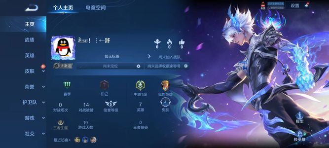 王者荣耀【担保】逐花归海 澜 满级铭文 零排位