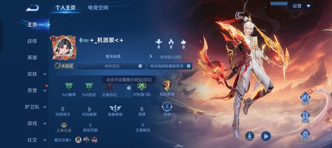 王者荣耀九州拓 澜 满级铭文 零排位