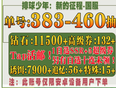 排球少年：新的征程安卓活邮380抽