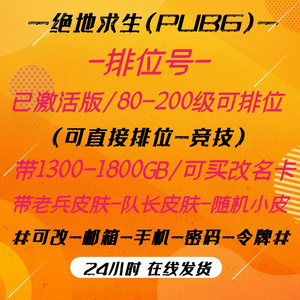 绝地求生（PUBG）*直接排位【80级】带GB*》
