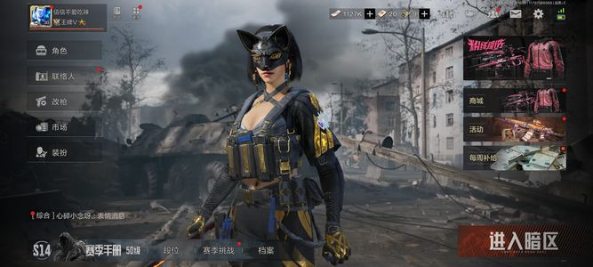 暗区突围【30级】热能刀/旧王双枪 芭斯特王牌