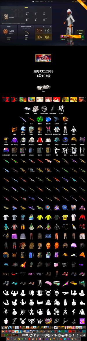 绝地求生（PUBG）107级33张图15000聚合