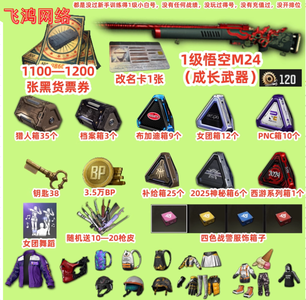 绝地求生（PUBG）孙悟空M24⭐1100券带改名