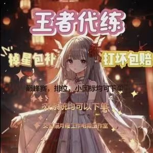 王者荣耀全系统排位巅峰赛代练咨询